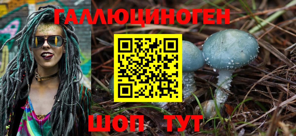 Галлюциногенные грибы MAGIC MUSHROOMS Елец