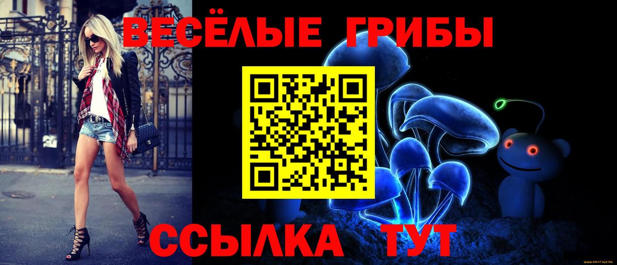 Галлюциногенные грибы MAGIC MUSHROOMS  Псилоцибиновые грибы Psilocybine cubensis  Вход с VPN  где купить наркотик  Елец 